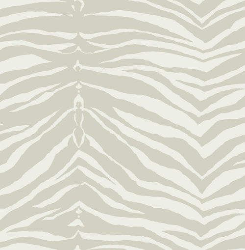 Zebra Wallpaper - Mayflower Wallpaper