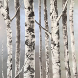 Birch FJ080114