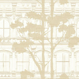 Architecture with Tree Shadow FJ31505