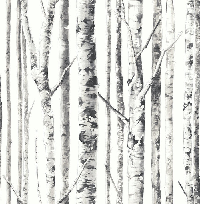 Birch FJ100114 - Mayflower Wallpaper