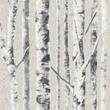 Birch Frost FJ41610