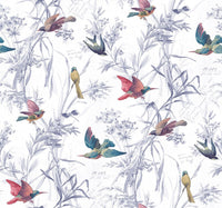Birds Of Paradise Mixed Berry FJ40911 - Mayflower Wallpaper