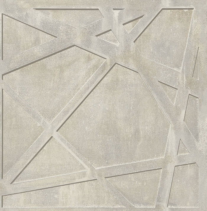 The steely gray backdrop is complemented by platinum and metallic silver edging.