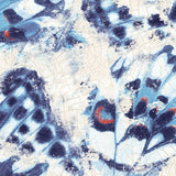 Mariposa FJ020205