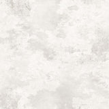 Platinum Minimalist Wallpaper Culebrita FJ100109