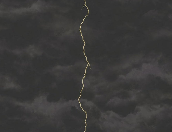 Lightning FJ000208 - Mayflower Wallpaper