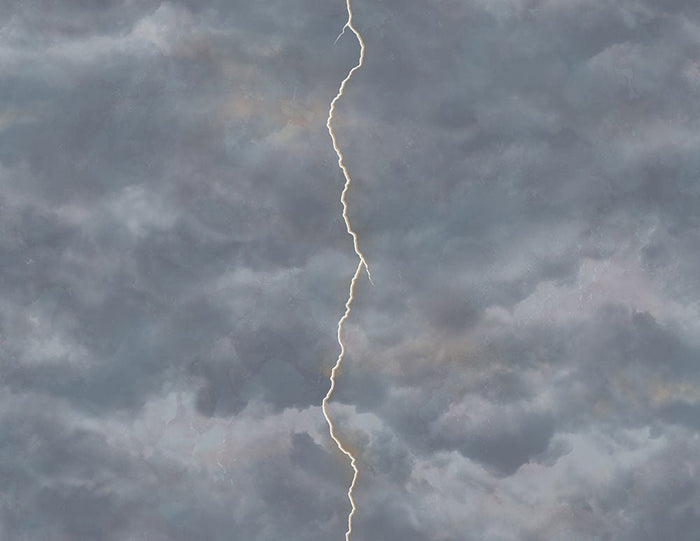 Lightning FJ080208 - Mayflower Wallpaper