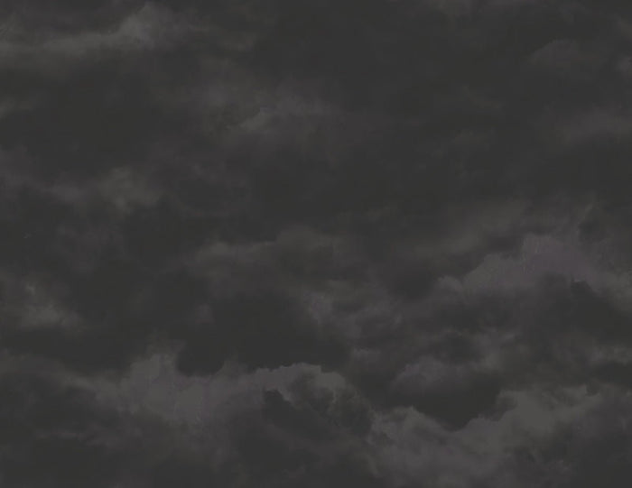 Sky FJ000219 - Mayflower Wallpaper