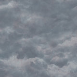 Cielo FJ080219