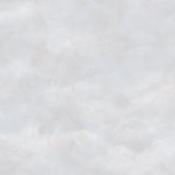 Cielo FJ100219