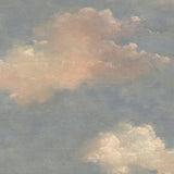 Westerly Cloud Sky Wallpaper Pink FJ30902