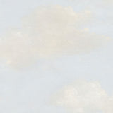 Westerly Cloud Sky Wallpaper Silver FJ30907