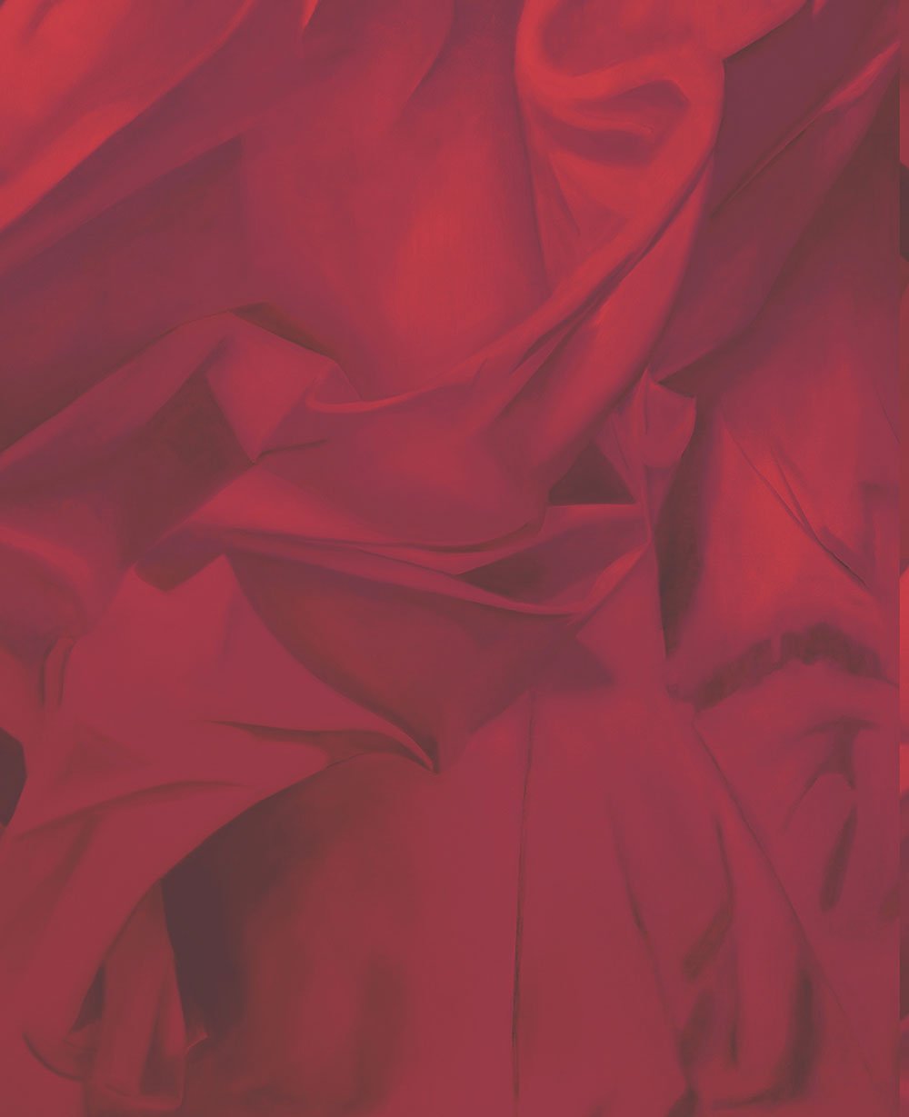 Rose Red Painterly Wallpaper Sheets FJ110216 - Mayflower Wallpaper