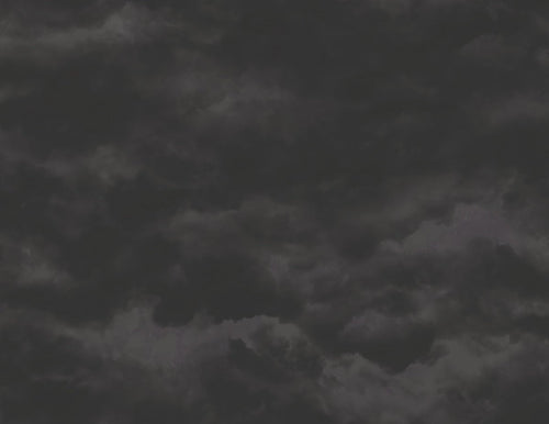 Moody Wallpaper - Mayflower Wallpaper