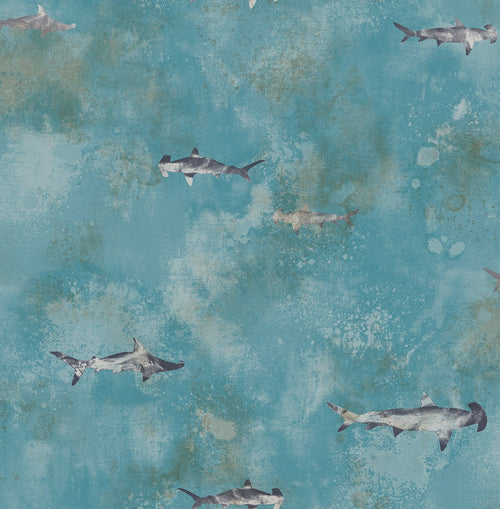 Shark Wallpaper - Mayflower Wallpaper