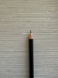 TS80708 Tela de césped Coastal Nova Grey Mate 