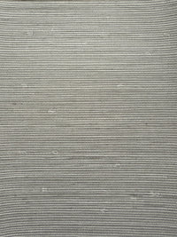 TS80718	Vinyl Grasscloth Coastal Lunar Grey Matte