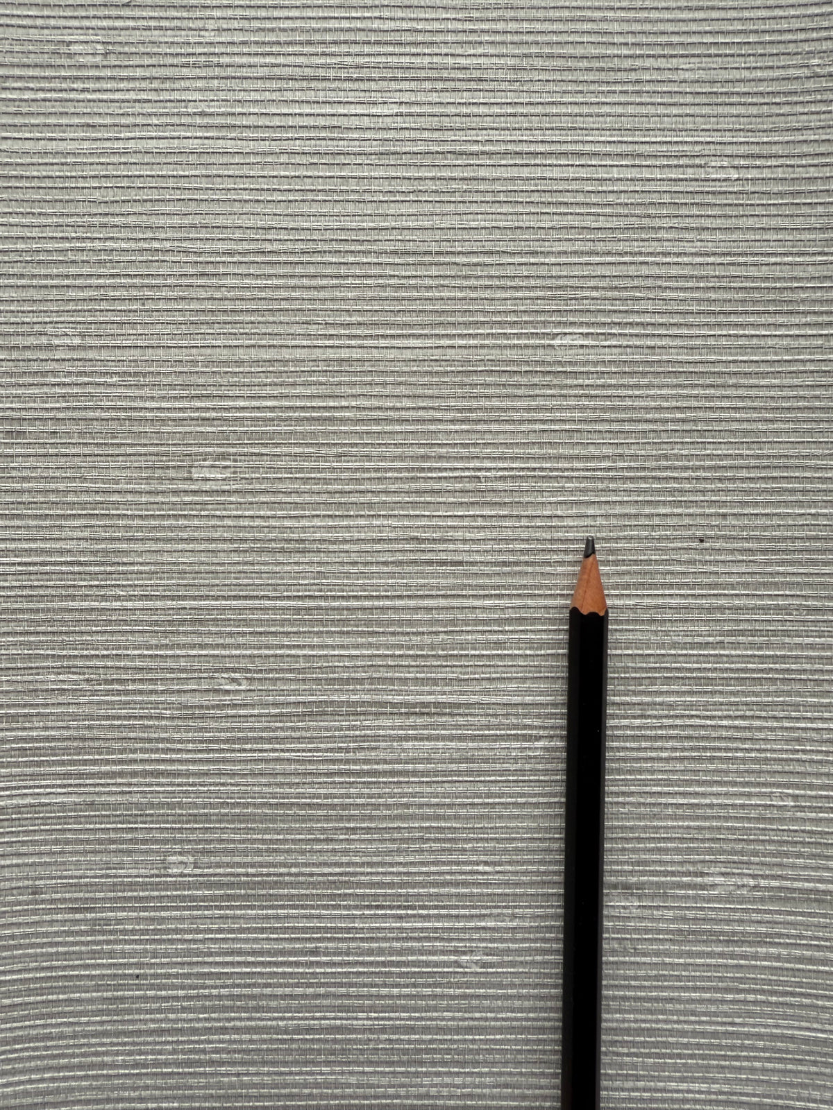 TS80718	Vinyl Grasscloth Coastal Lunar Grey Matte