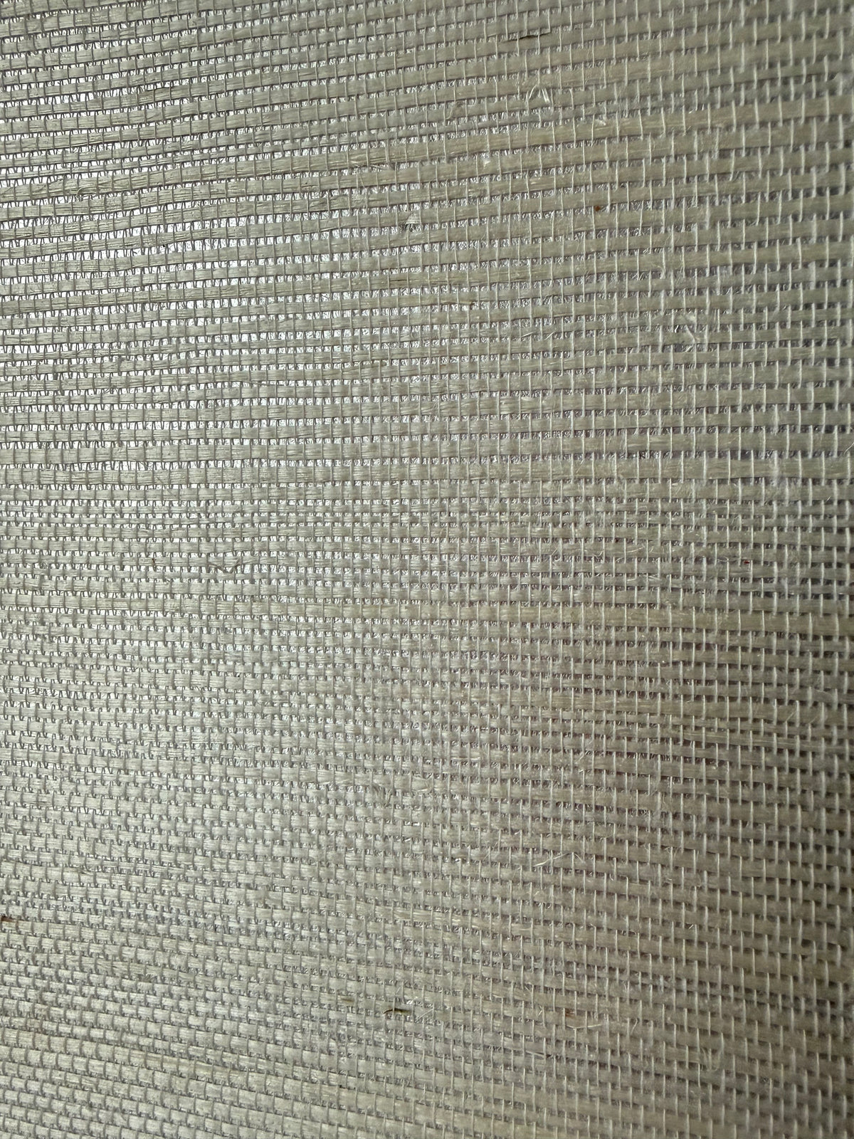 Light Silver White real Grasscloth WP21606