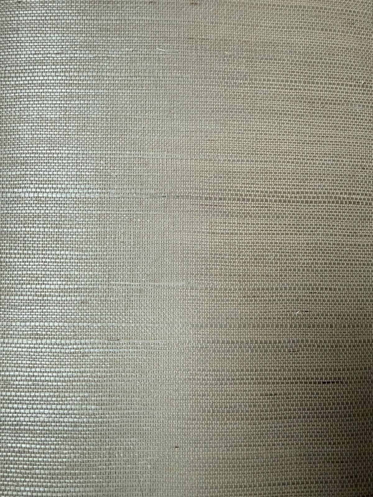 Beige Real Grasscloth Sisal Warm and Neutral SY21813