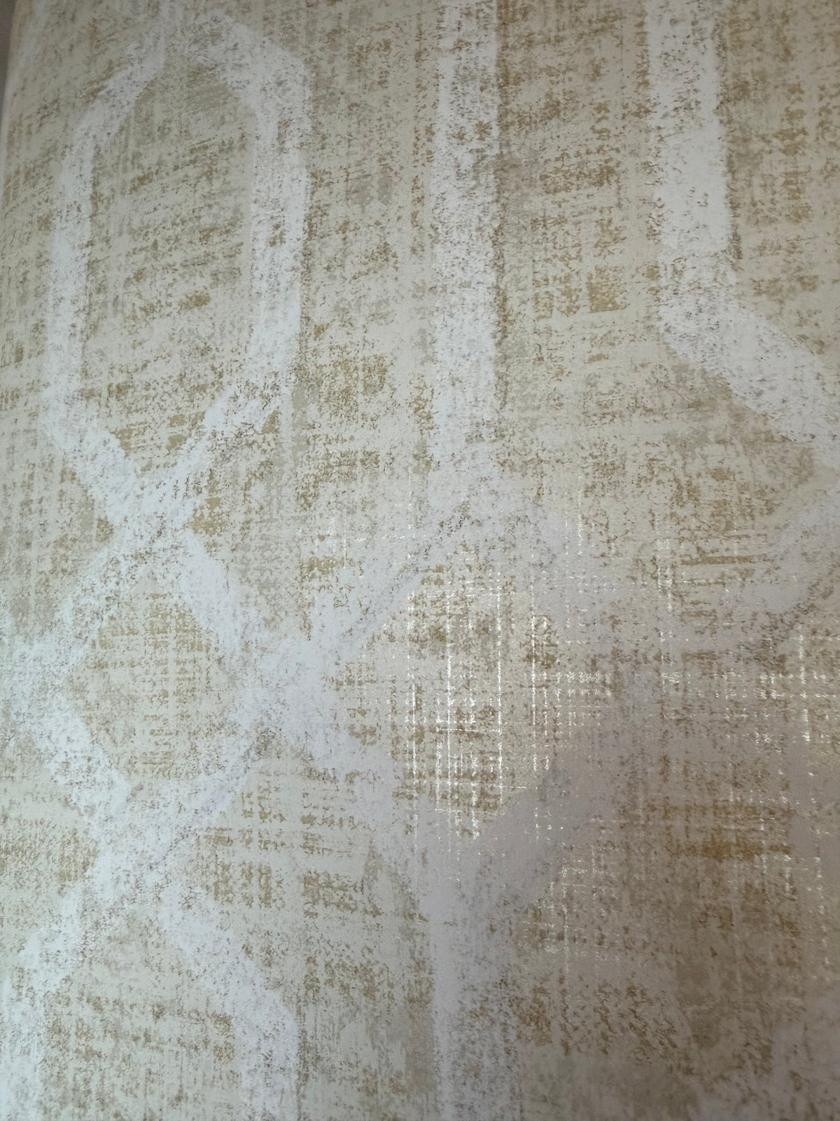 Giant's Causeway WMA ST050912