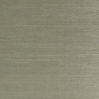 Gray Fieldstone Satin Sisal Real Grasscloth LN11825
