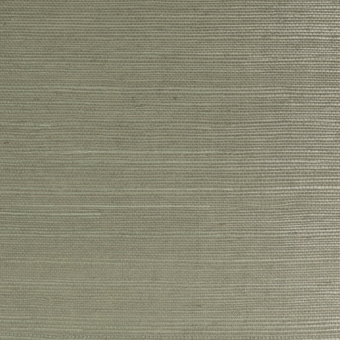 Gray Fieldstone Satin Sisal Real Grasscloth LN11825