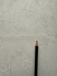 Cement faux White Concrete TS81218 - Mayflower Wallpaper