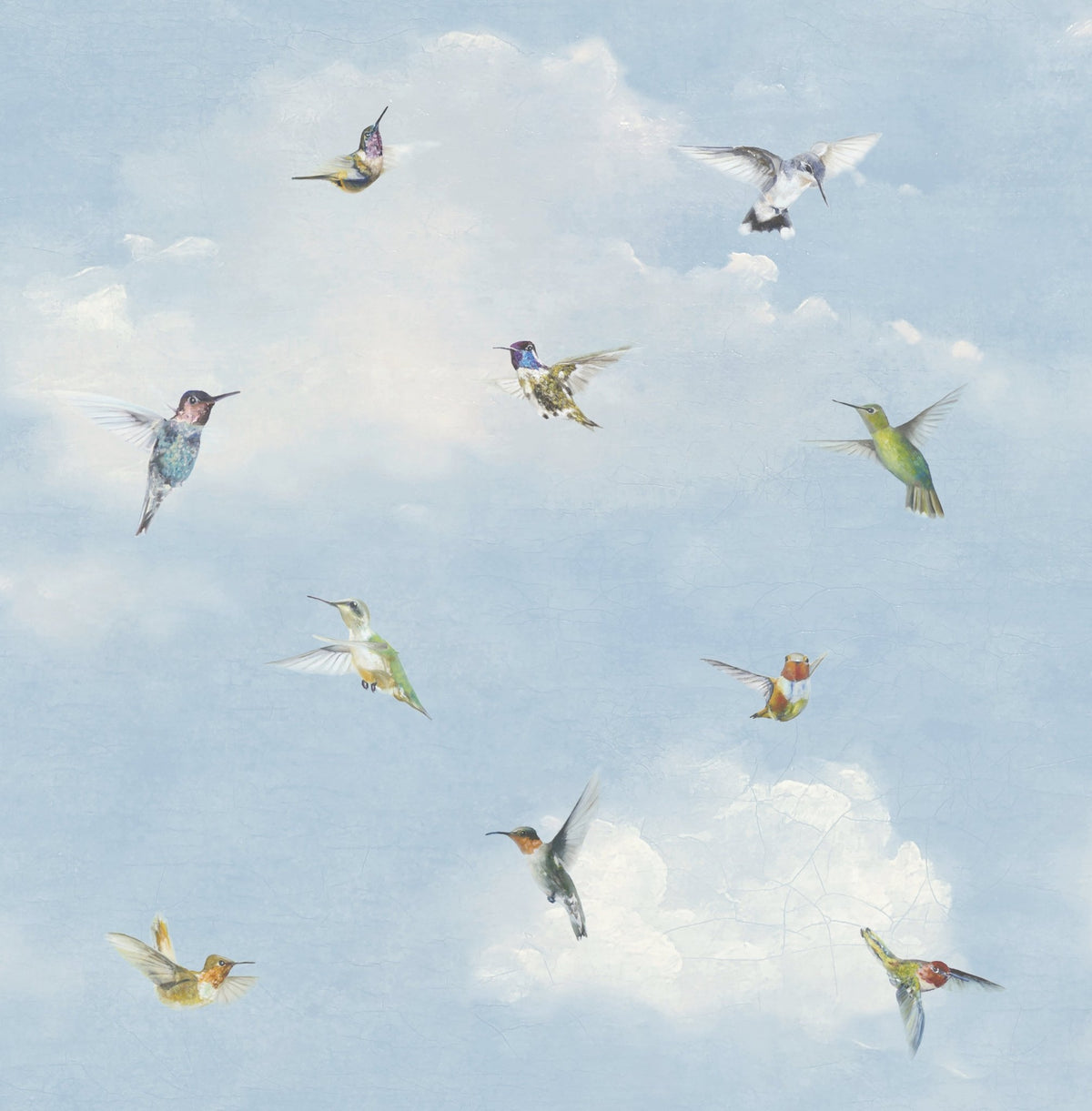 Hummingbird Peel and Stick Wallpaper MFW10019 - Mayflower Wallpaper