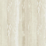Ecru Warm Minimalist Wallpaper Sierra Nevada ST070903