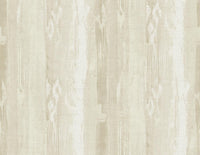 Sierra Nevada WMA ST070903 - Mayflower Wallpaper