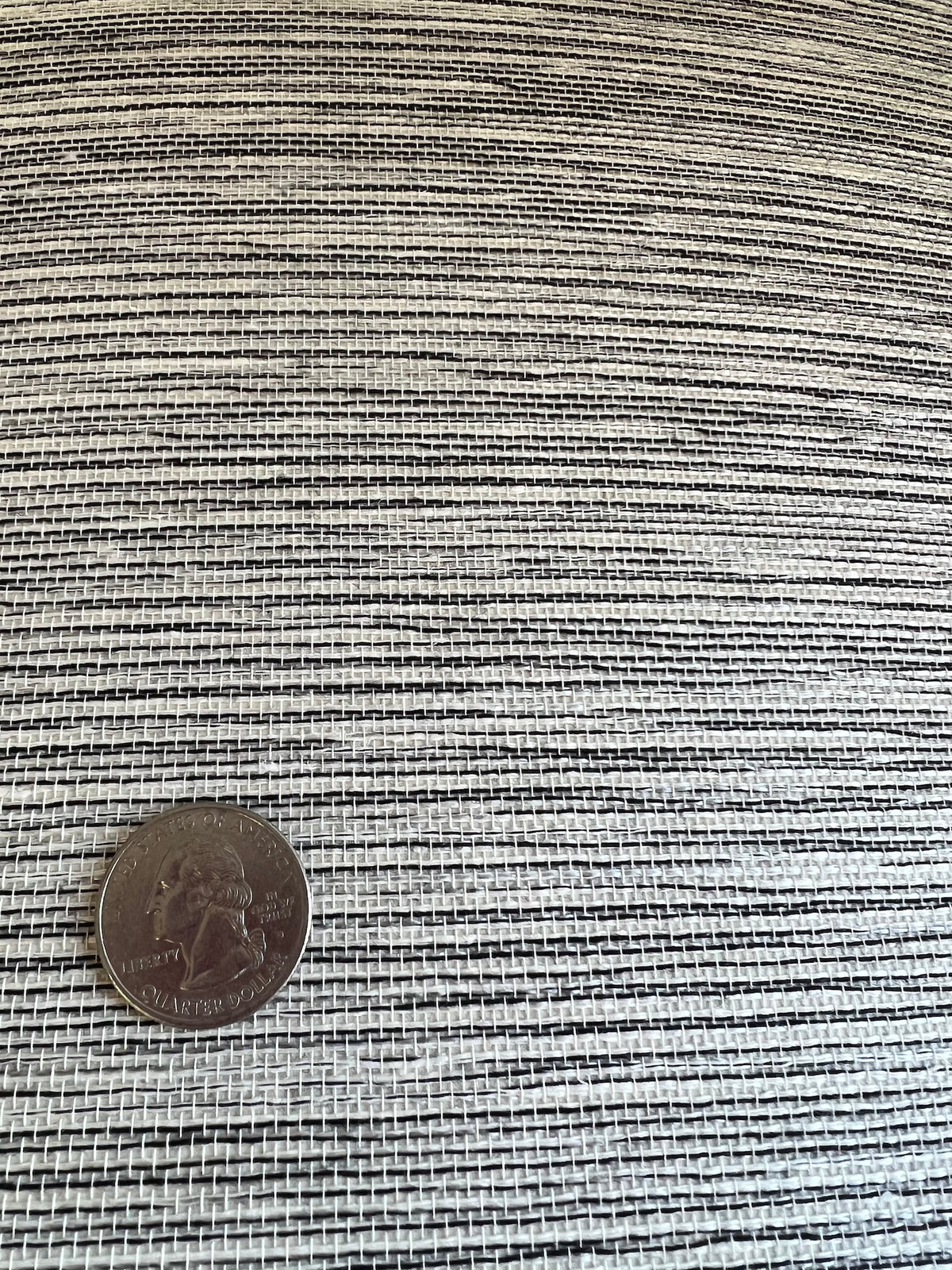 black and white grasscloth wallpaper with a quarter on top