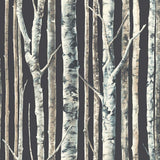 Birch FJ000114