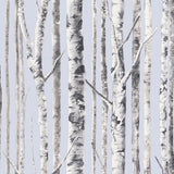 Birch FJ020114