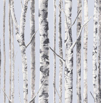 Birch FJ020114 - Mayflower Wallpaper