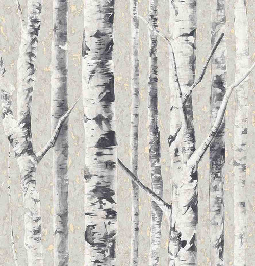 Birch Frost FJ41610 - Mayflower Wallpaper
