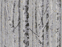 Birch Moonlight FJ41609 - Mayflower Wallpaper