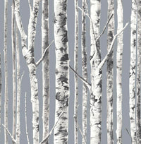 Birch Tree Peel and Stick Wallpaper MD080114 - Mayflower Wallpaper