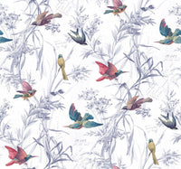 Birds Of Paradise Mixed Berry FJ40911 - Mayflower Wallpaper