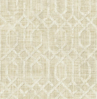 Giant's Causeway WMA ST050912 - Mayflower Wallpaper