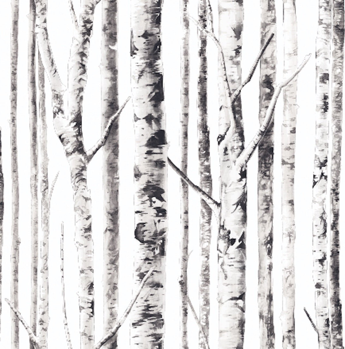 Ivory Birch Peel and Stick Wallpaper MD000144 - Mayflower Wallpaper