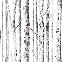 Ivory Birch Peel and Stick Wallpaper MD000144 - Mayflower Wallpaper