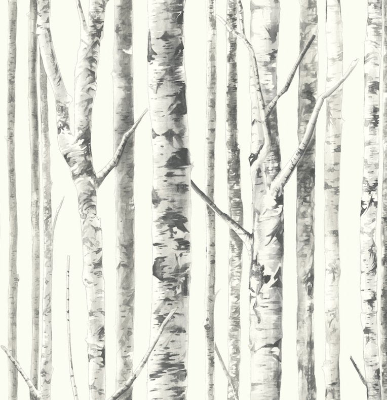 KO10100 White Birch Tree Wallpaper Peel and Stick - Mayflower Wallpaper