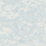 Liquen FJ30308 