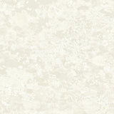 Liquen FJ30310 