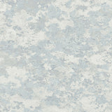 Liquen FJ30312 
