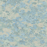 Liquen FJ30322 