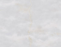 Lightning FJ100208 - Mayflower Wallpaper