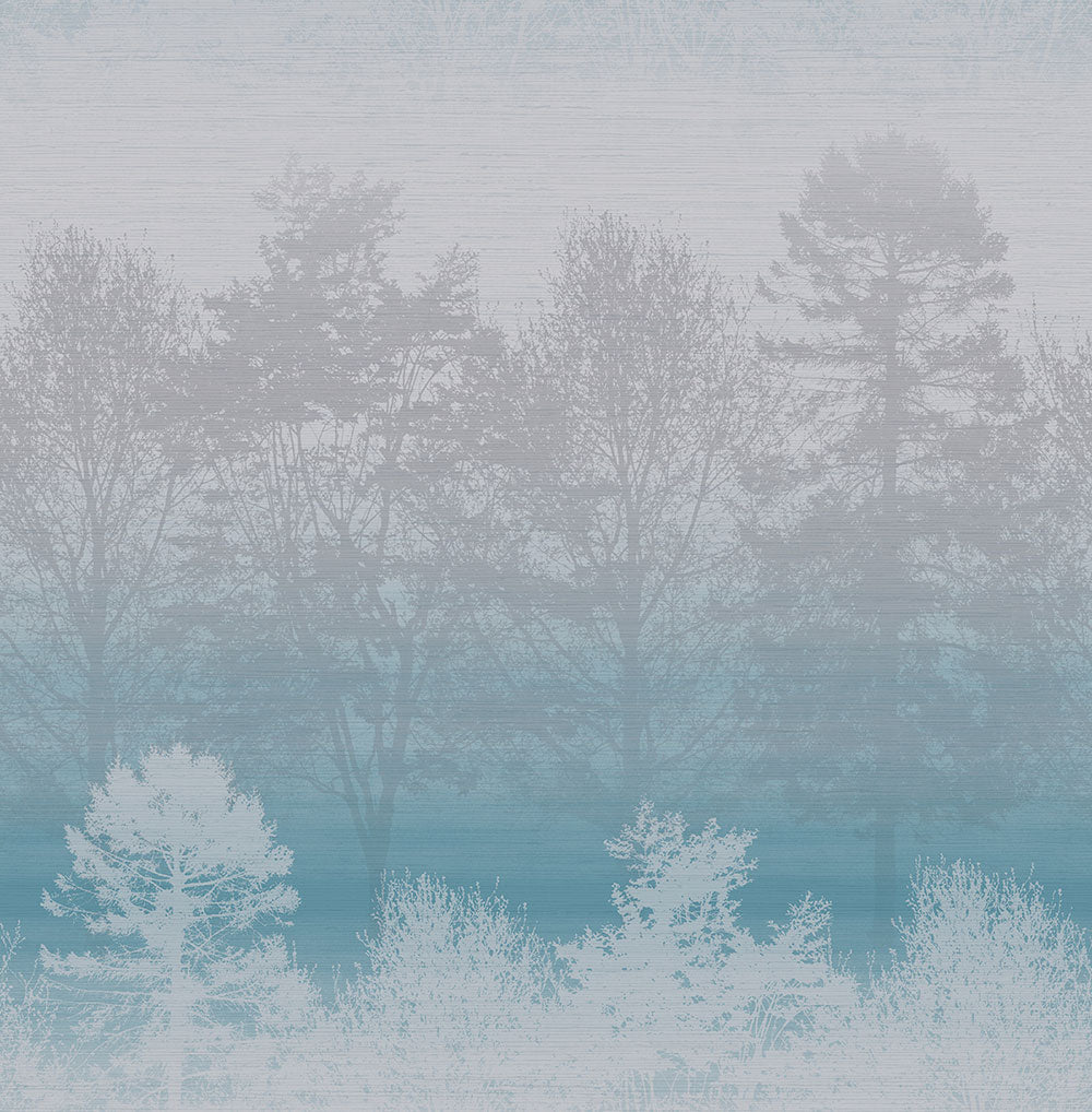 Un bosque brumoso lleno de muchos árboles foto – Imagen de Bosque en  Unsplash, image size:1000x1018