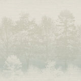 Mist FJ050200